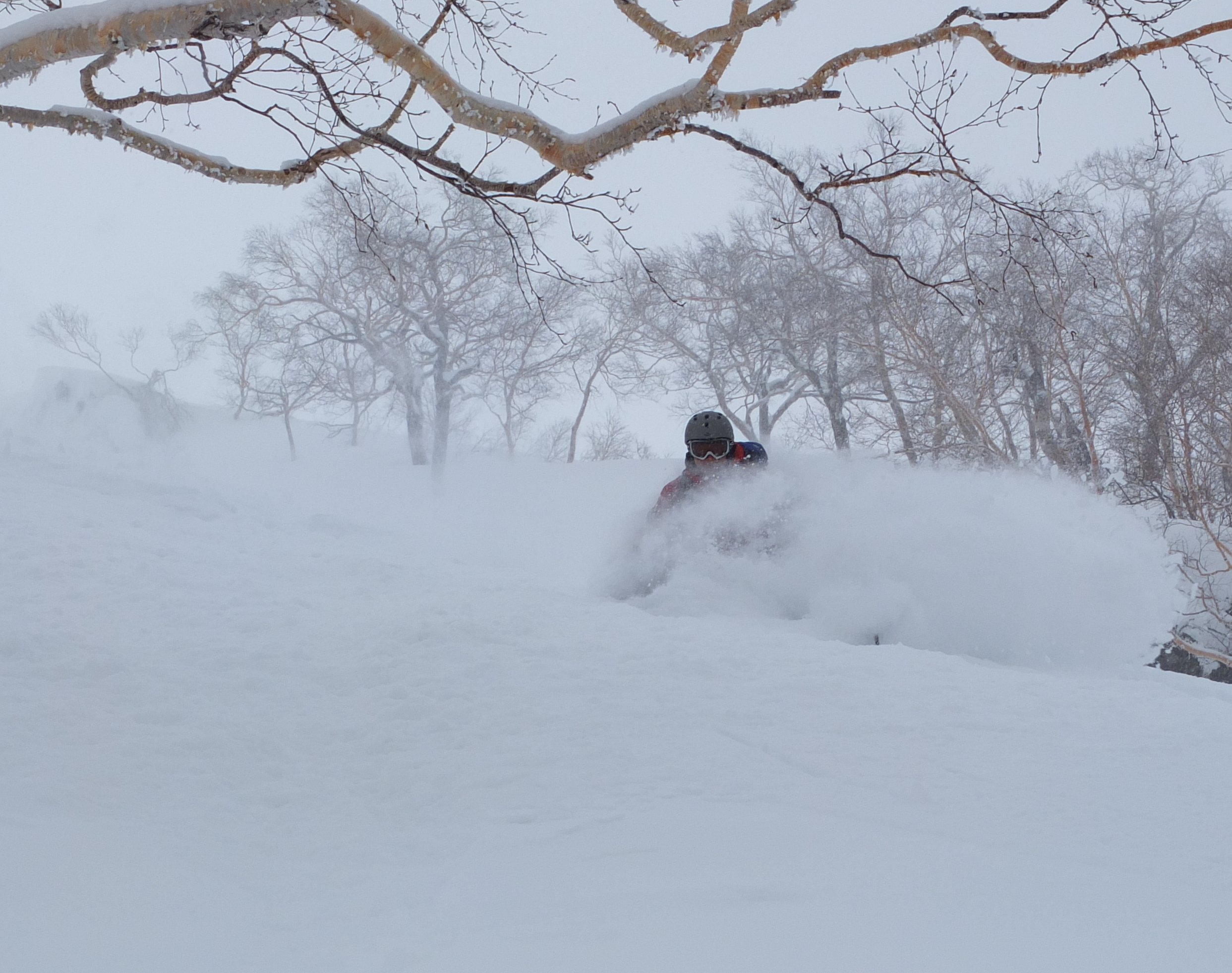 ⛷️ 루스츠 리조트 스키장 / 이스트 센터 스테이션 이미지 3